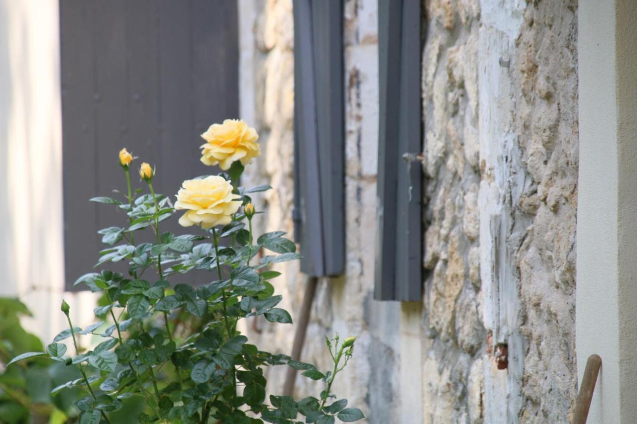 Le Bon Ami Villa Fronsac  Exterior photo